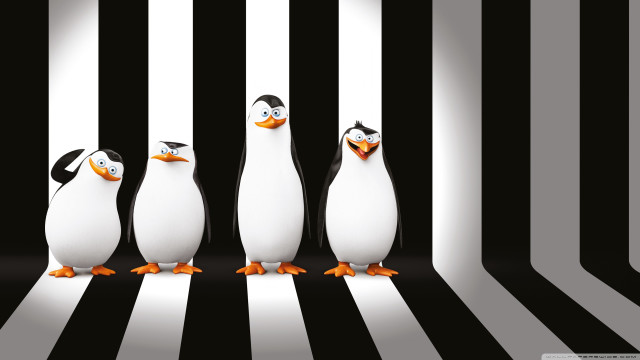 Penguins striped room black white free wallpaper - medium preview image