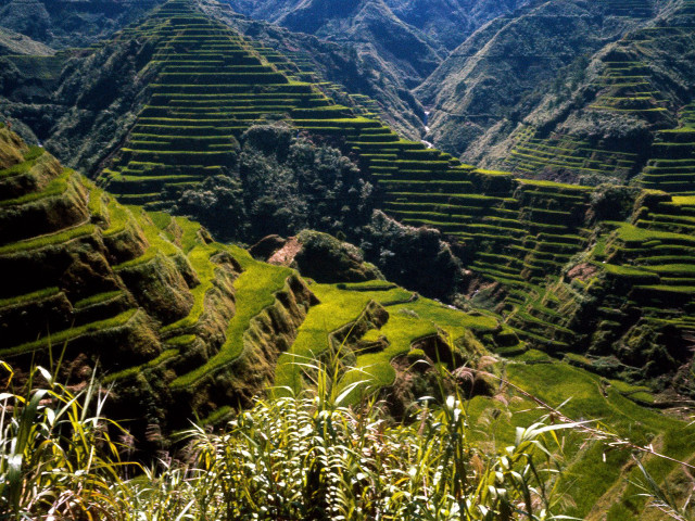 Mountain valley grassy field cityscape free wallpaper - medium preview image