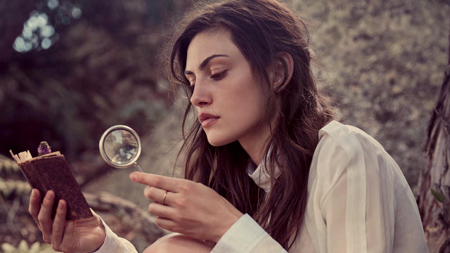 Woman sitting tree branch reading free wallpaper - medium preview image
