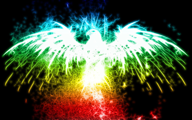 Colorful bird wings spread out free wallpaper - medium preview image