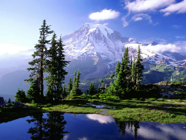 Mountain lake trees foreground nature #2 free wallpaper - medium preview image