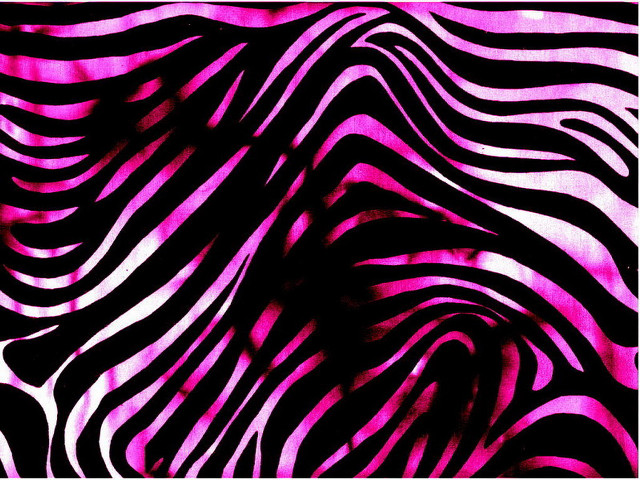 Zebra print pink background black #2 free wallpaper - medium preview image
