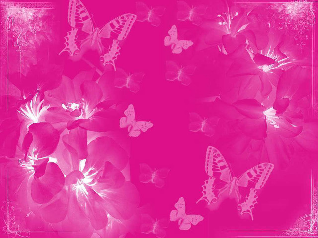 Pink background butterflies flowers middle free wallpaper - medium preview image