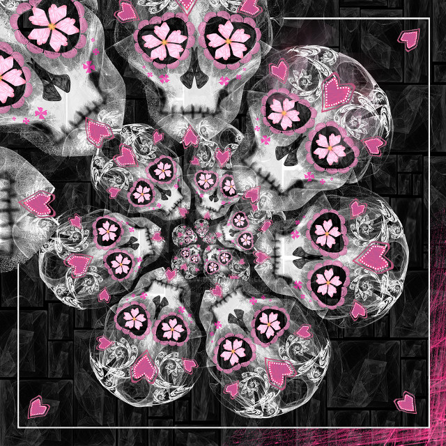 Skull pink flowers frame image free wallpaper - medium preview image