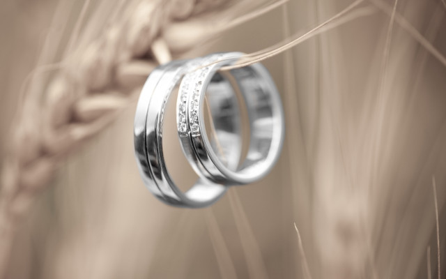 Wedding rings wheat sepia grain free wallpaper - medium preview image