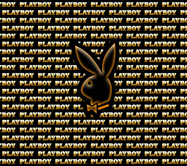 Rabbit black face yellow lettering free wallpaper - medium preview image