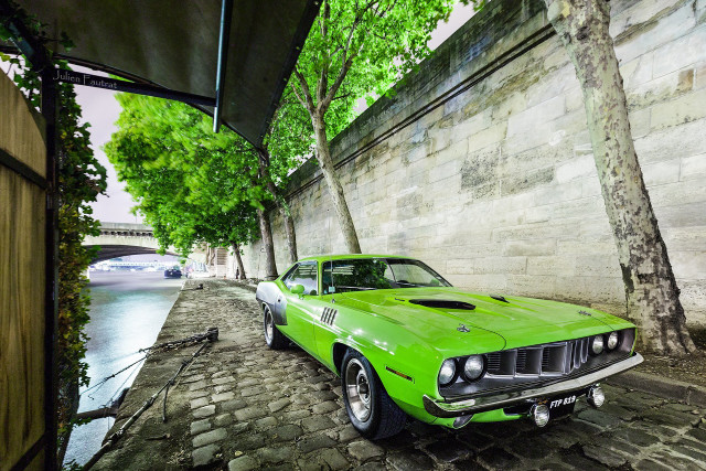 Green car cobblestone street tree free wallpaper - medium preview image