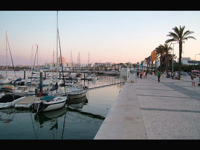 Marina boats palm trees sunset free wallpaper - medium preview image