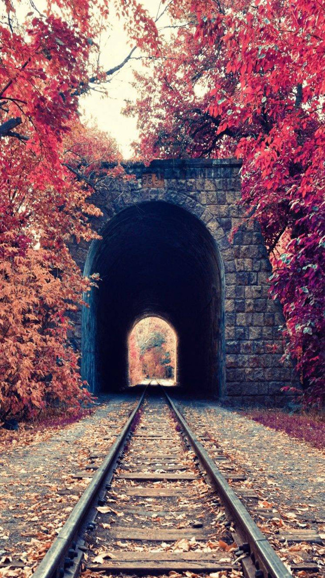 Train track tunnel trees leaves free wallpaper - medium preview image