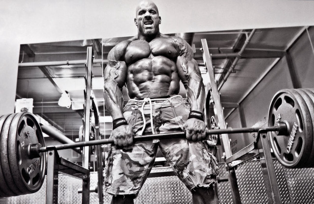Muscular man gym pose barbell free wallpaper - medium preview image