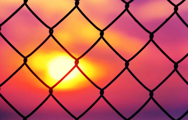 Sunset chain link fence bird free wallpaper - medium preview image