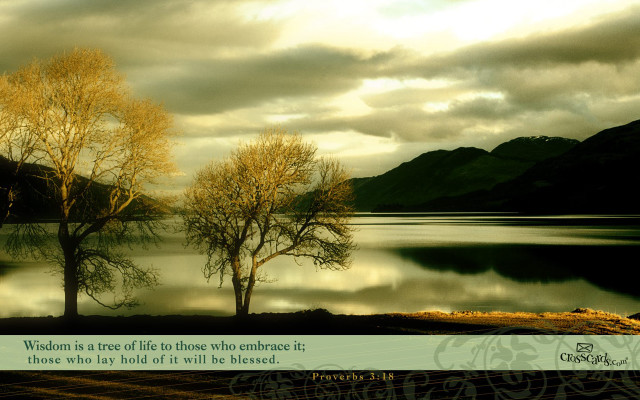 Two trees lake quote life free wallpaper - medium preview image