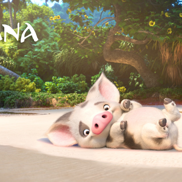 Pigs laying sandy ground forest free wallpaper - medium preview image