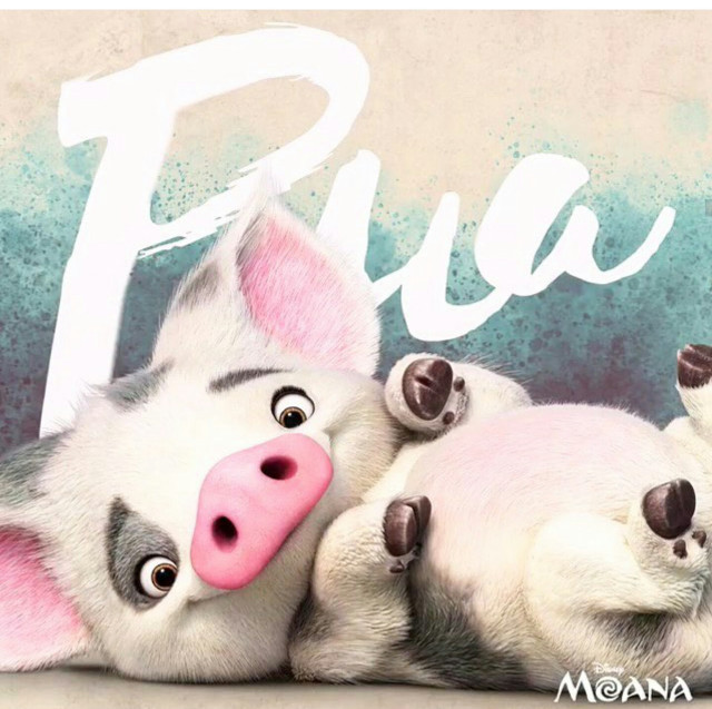 Pigs laying next to each free wallpaper - medium preview image