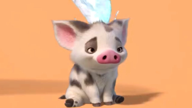 Small pig blue toothbrush brown free wallpaper - medium preview image