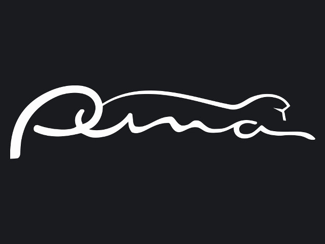 Black white logo jaguar side free wallpaper - medium preview image