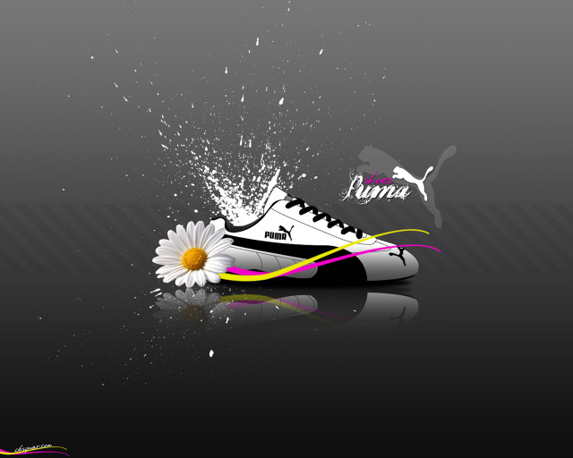 White black shoe flower name free wallpaper - medium preview image