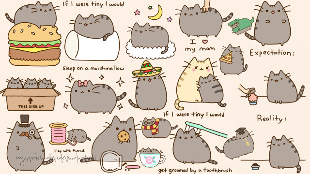 Cats cake hamburger plate cup free wallpaper for desktop - medium preview image