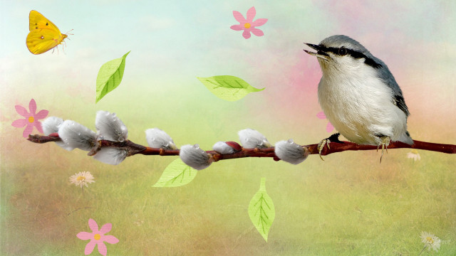 Bird branch butterfly flower background free wallpaper - medium preview image