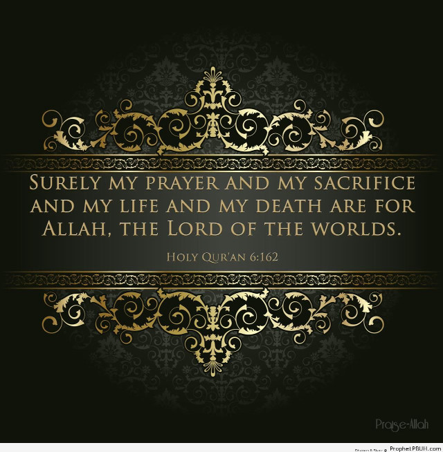 Bible quote inspirational wisdom faith free wallpaper - medium preview image