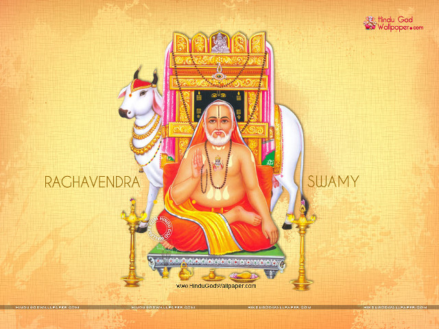 Man chair bull yellow background free wallpaper - medium preview image