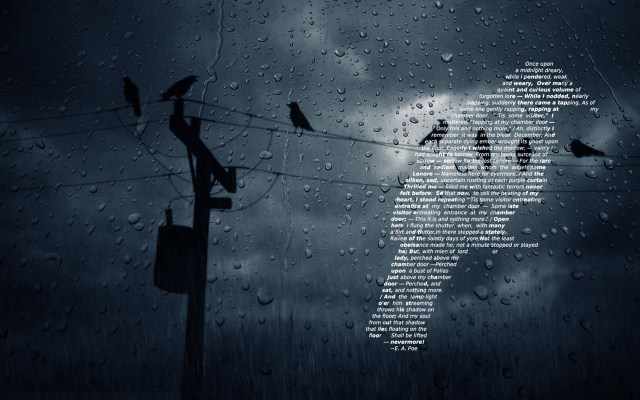 Birds power line rain sky free wallpaper - medium preview image