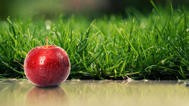 Red apple green field puddle free wallpaper - medium preview image