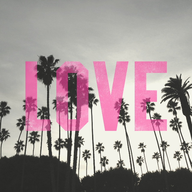 Pink love sign palm trees free wallpaper - medium preview image