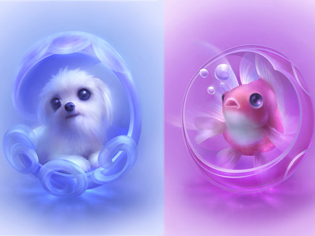 Dog bubble fish inside bubble free wallpaper - medium preview image