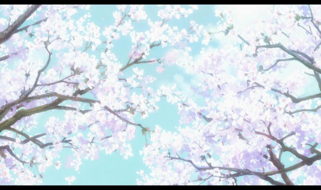 Tree pink flowers blue sky #9 free wallpaper - medium preview image