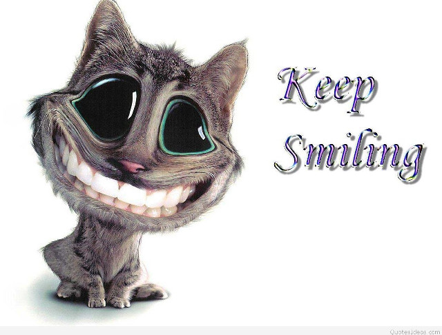 Cat big eyes smile keep free wallpaper - medium preview image