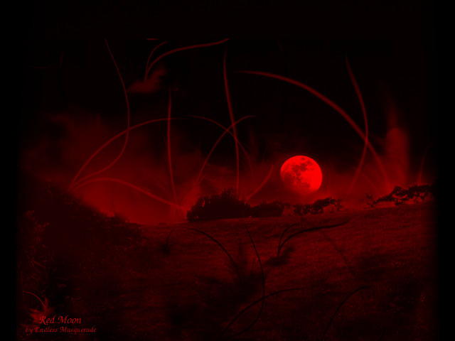 Red moon night field grass free wallpaper - medium preview image