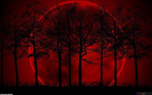 Red moon autumn bamboo gothic free wallpaper - medium preview image