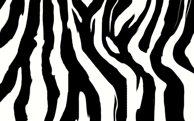 Zebra print pattern black white free wallpaper - medium preview image
