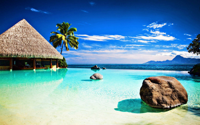 Tropical beach pool hut palm free wallpaper - medium preview image