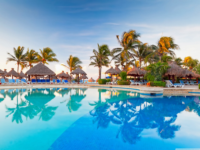 Large pool palm trees blue free wallpaper - medium preview image