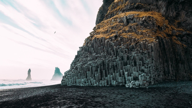 Rocky beach rock formation bird free wallpaper - medium preview image