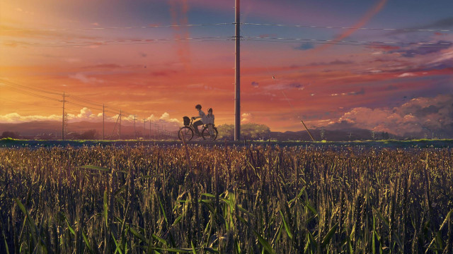 Man riding bike field sunset free wallpaper - medium preview image