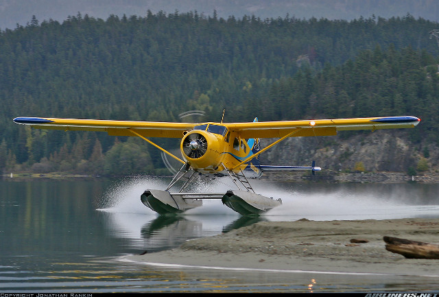 Yellow plane landing water forest free wallpaper - medium preview image