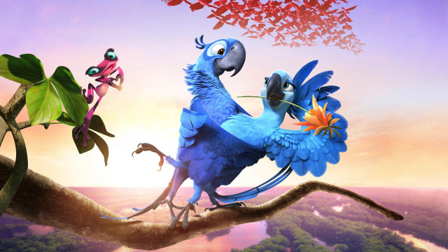 Blue bird tree branch flower free wallpaper - medium preview image