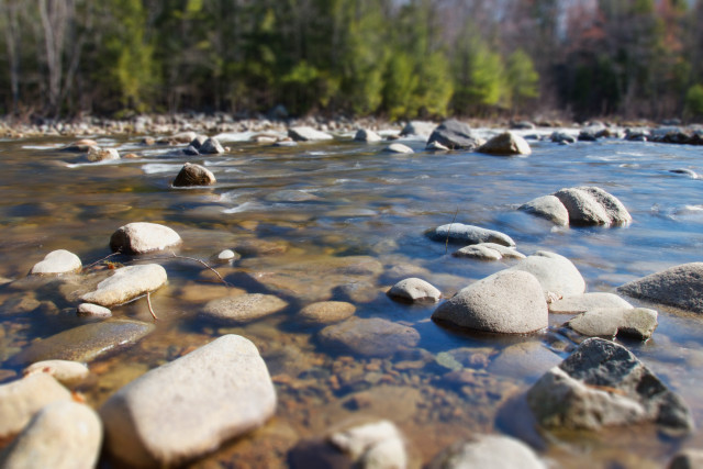 River rocks water trees background free wallpaper - medium preview image