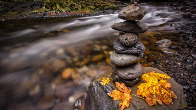 Rock pile river autumn leaves free wallpaper - medium preview image
