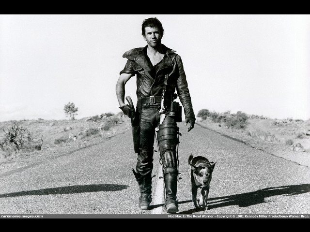 Man dog desert road bird free wallpaper - medium preview image