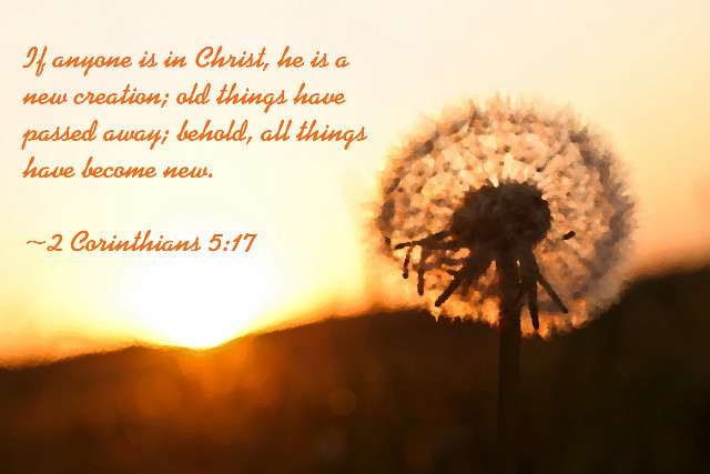 Dandelion bible verse sunset quote free wallpaper - medium preview image