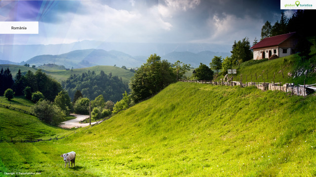 Green hillside house cow grazing free wallpaper - medium preview image