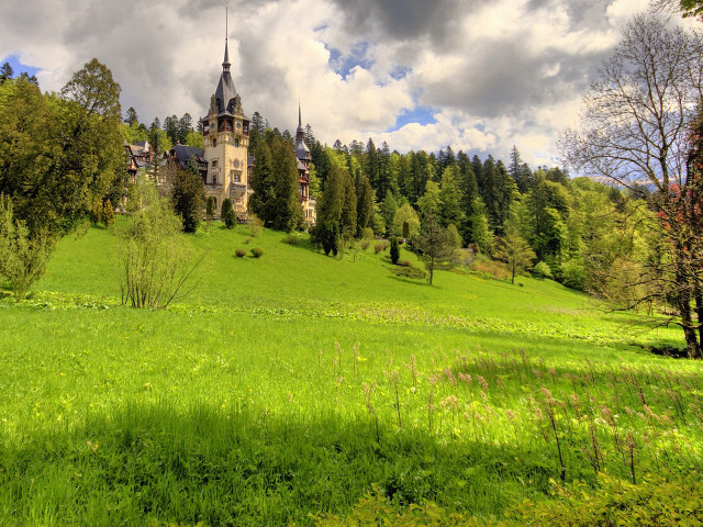 Large building hill forest background free wallpaper - medium preview image
