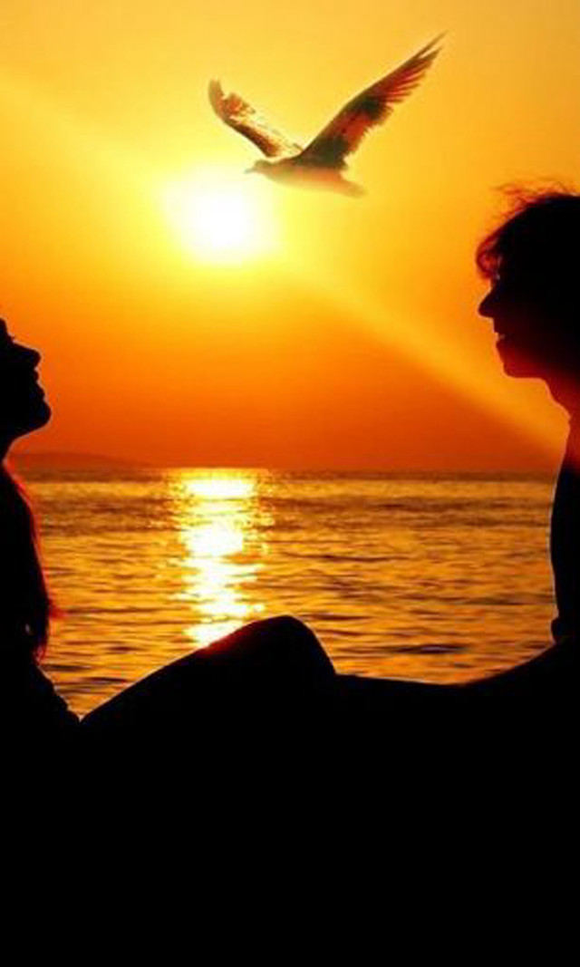 Beach couple sunset birds romantic free wallpaper - medium preview image