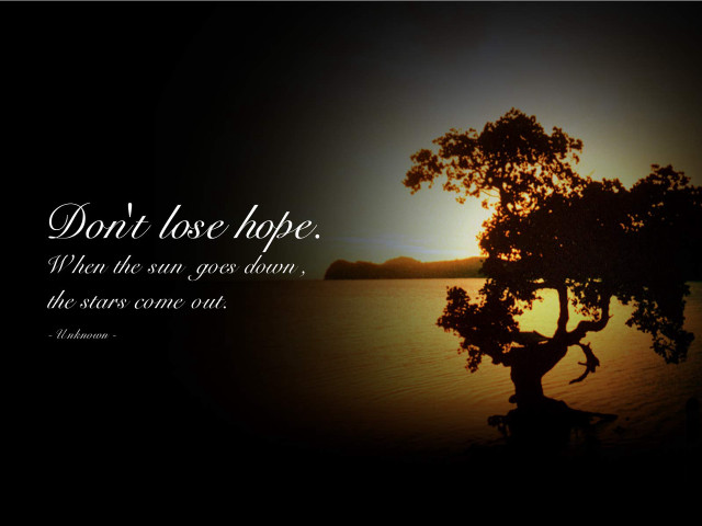 Tree quote night sunset background free wallpaper - medium preview image