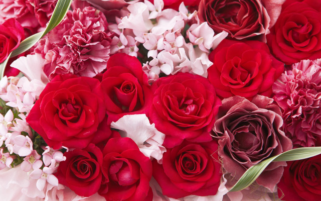 Red white flowers bouquet tabletop free wallpaper - medium preview image