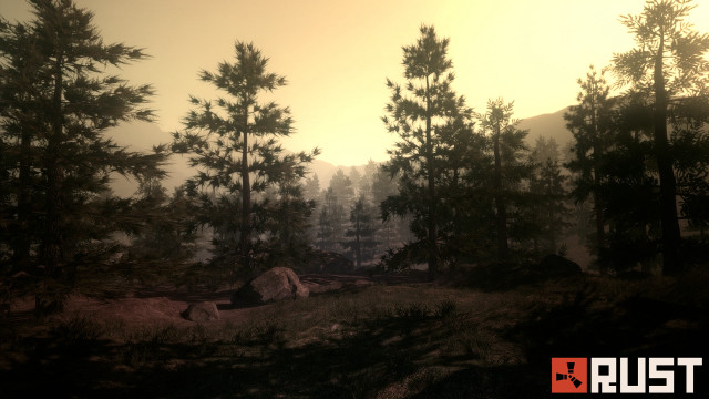 Forest trees rocks yellow sky free wallpaper - medium preview image